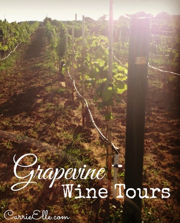 Grapevine Wine Tours