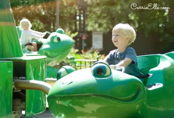 Silver Dollar City Happy Frogs