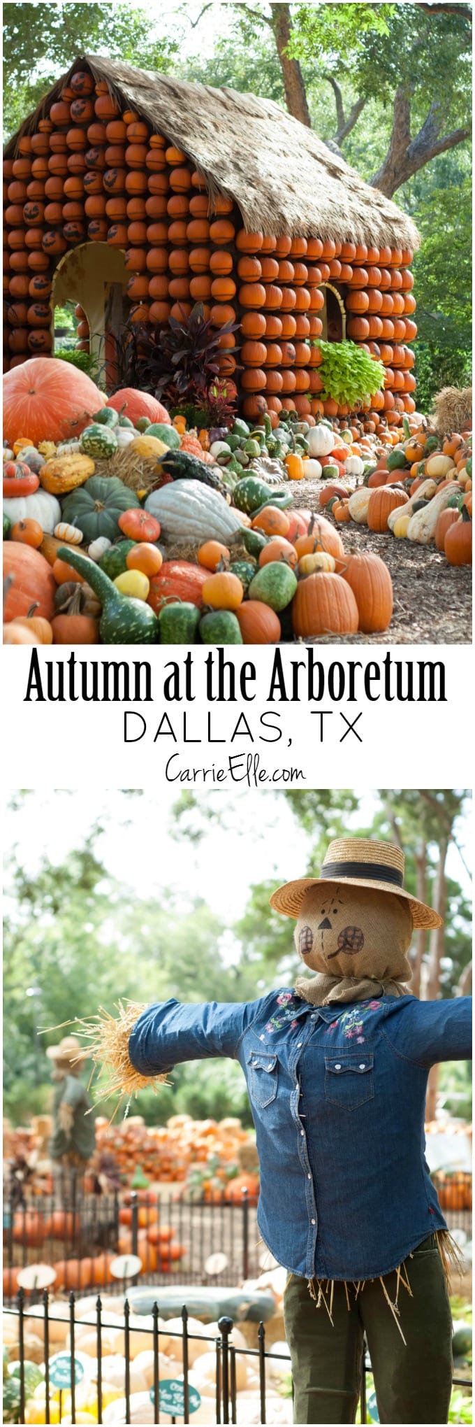 Autumn at the Arboretum Dallas