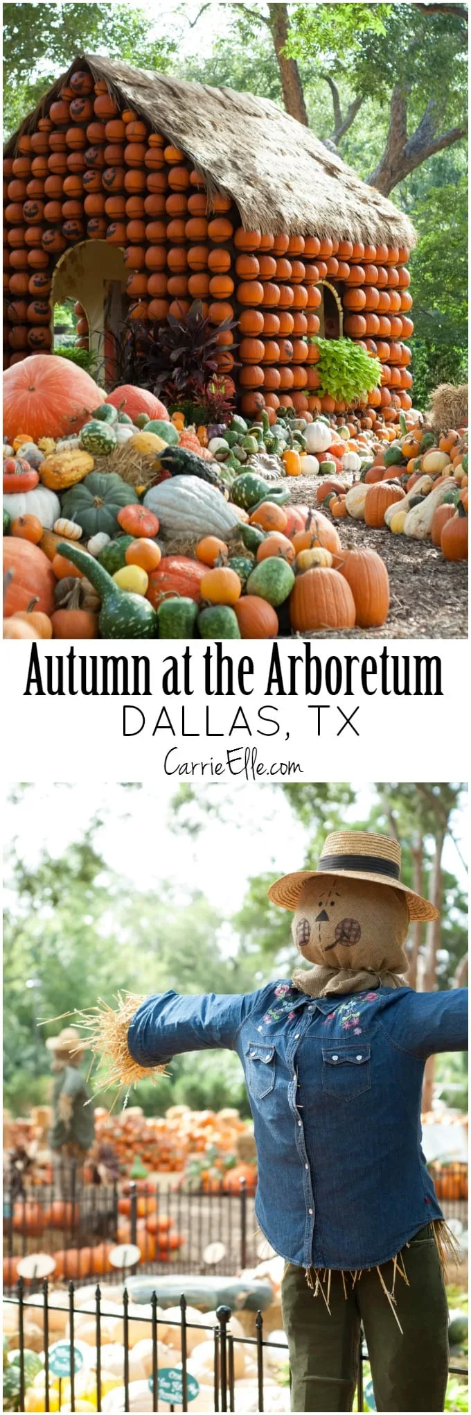 Autumn at the Arboretum Dallas