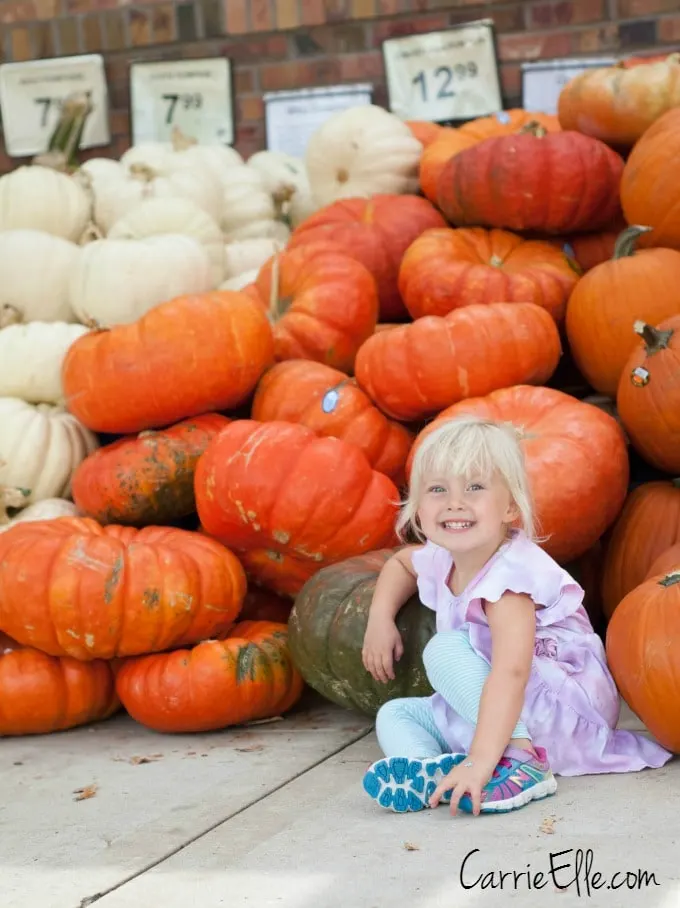 Market Street Pumpkins