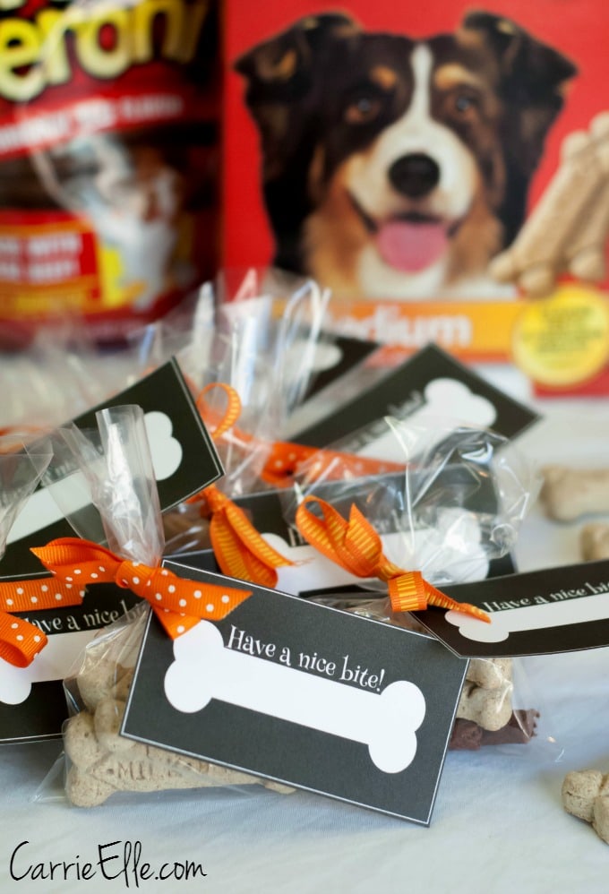 Halloween Treats for Dogs #shop