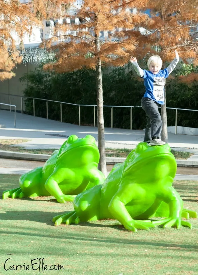 Frogs at Perot Museum
