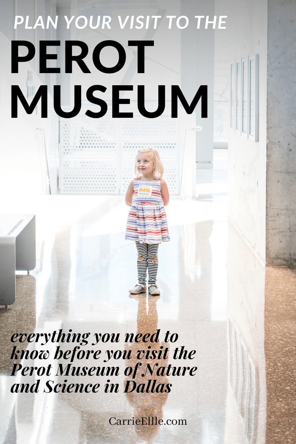Plan Your Visit to the Perot Museum