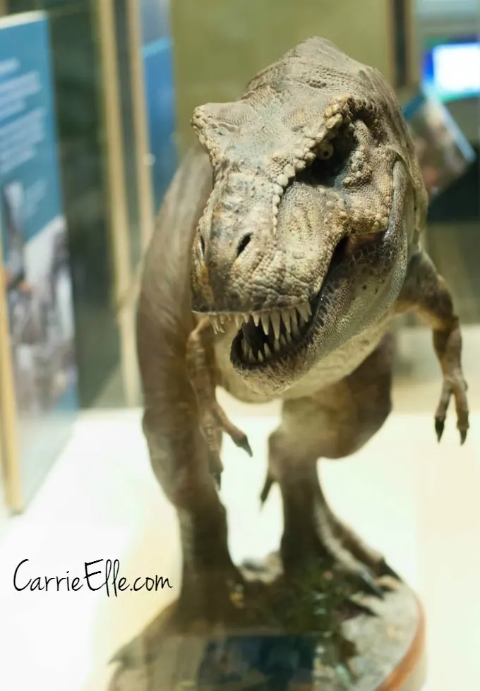 T-Rex