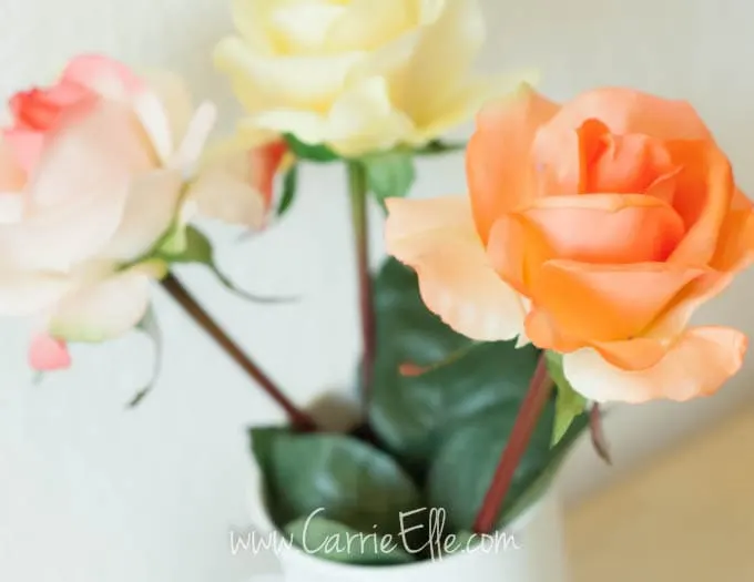 Mother's Day Roses