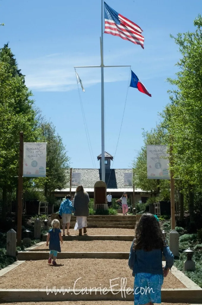 Long Cove Flag