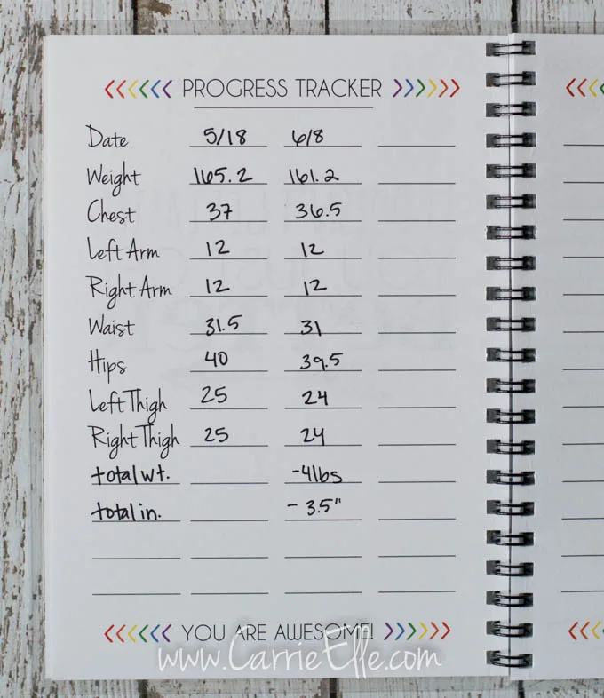 21DFX Tracking Sheets