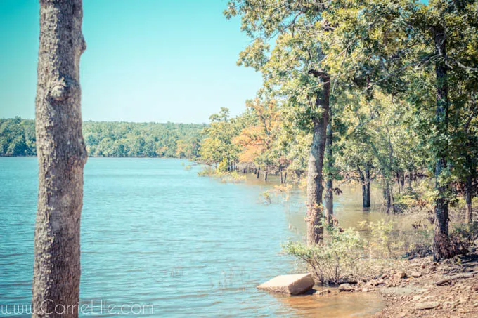 Shoreline