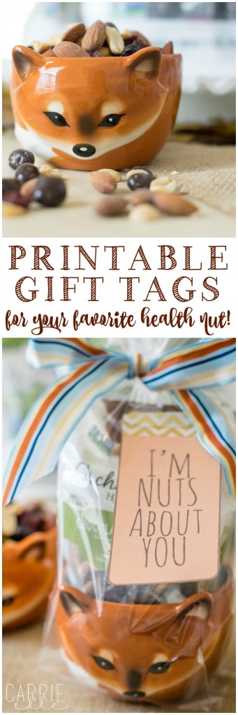 Free Printable Gift Tags: I'm Nuts About You! - Carrie Elle