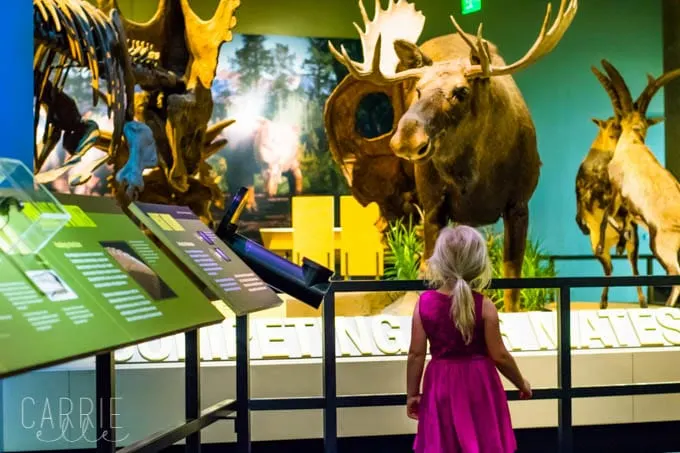 Perot Museum
