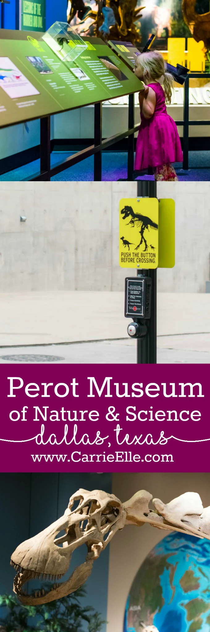 Perot Museum Dallas