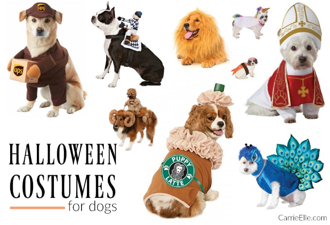 Best Halloween Costumes for Dogs