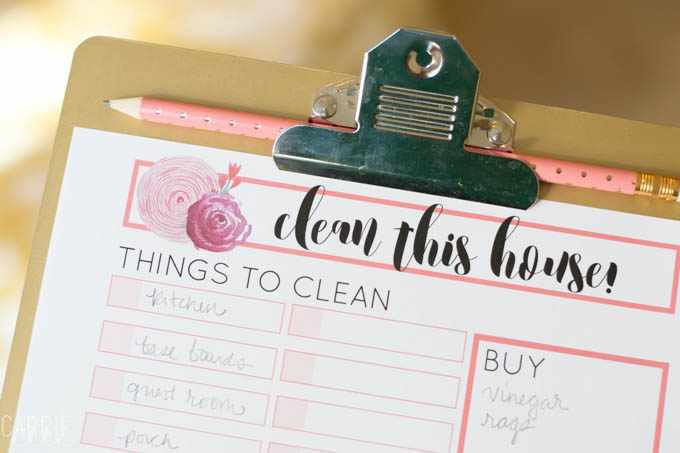 Printable Cleaning Checklist