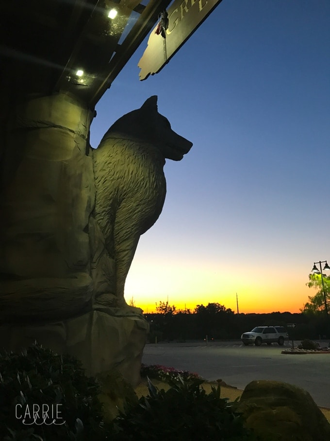 Plan Your Trip to the Great Wolf Lodge