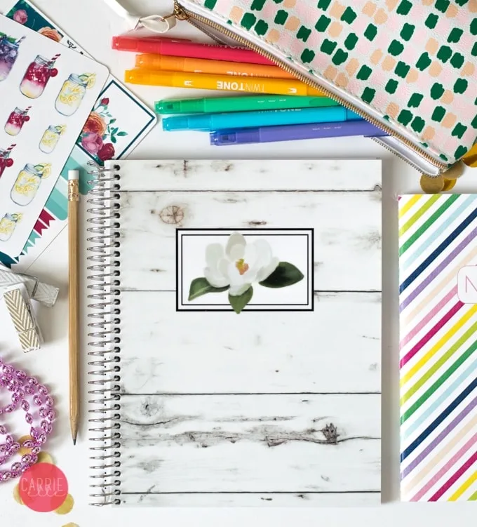 Planner Supplies Organization: Creative Options - Carrie Elle