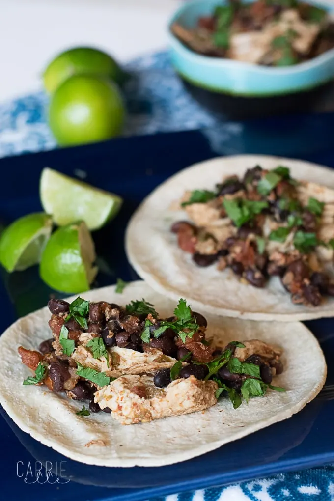 Instant Pot Shredded Mexican Chicken 21 Day Fix