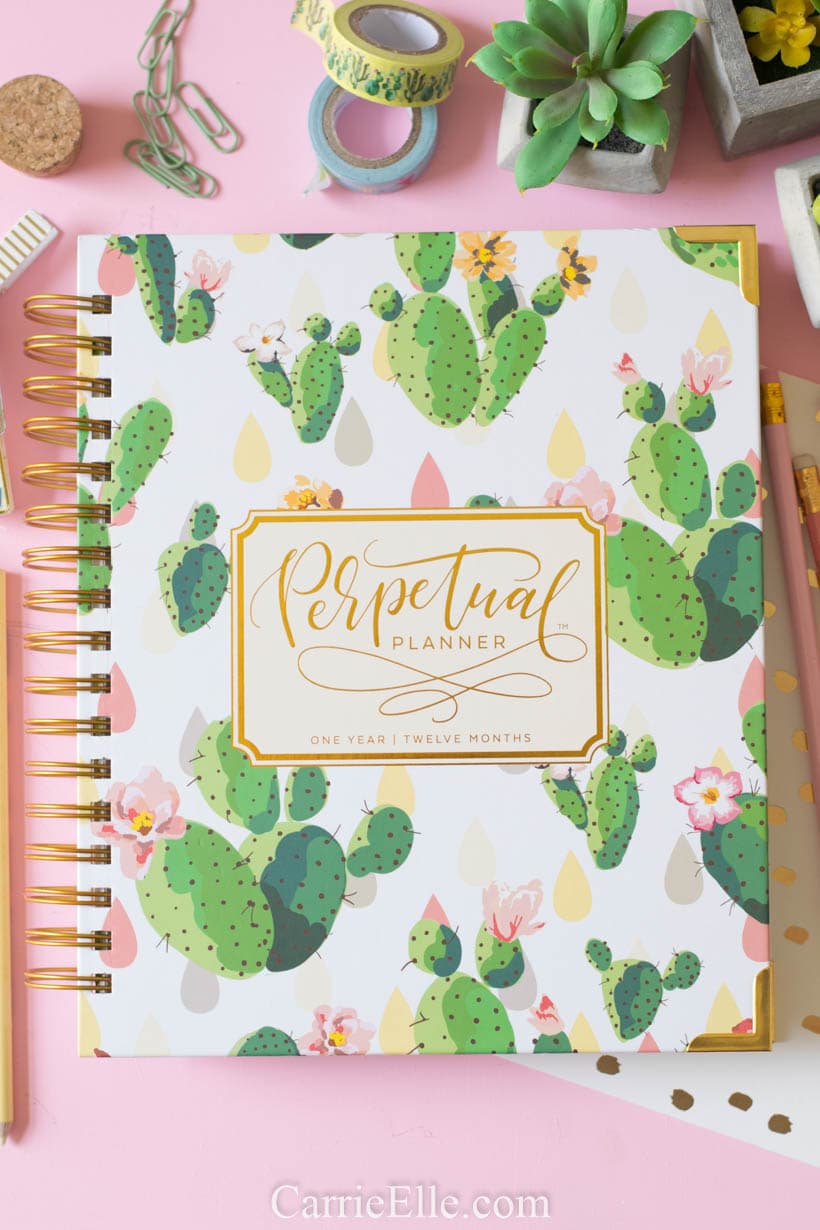 Best Undated Planner Perpetual Planner