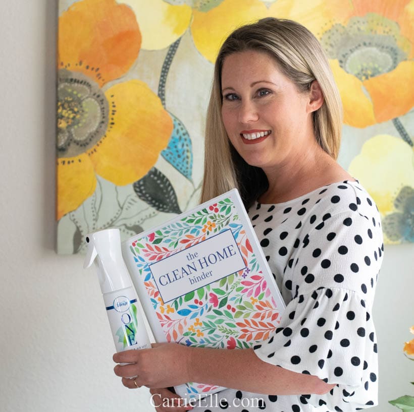 Printable Cleaning Binder