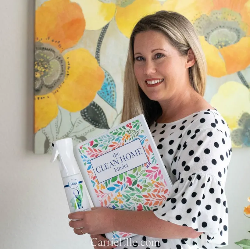 Printable Cleaning Binder