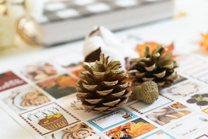 Printable Thanksgiving Planner Stickers