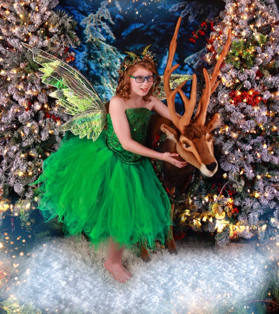 Enchanted Fairies Kidd's Kids