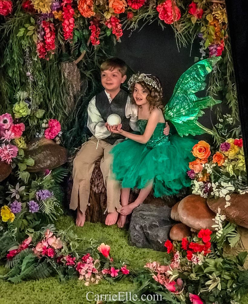 Enchanted Fairies Kidd's Kids