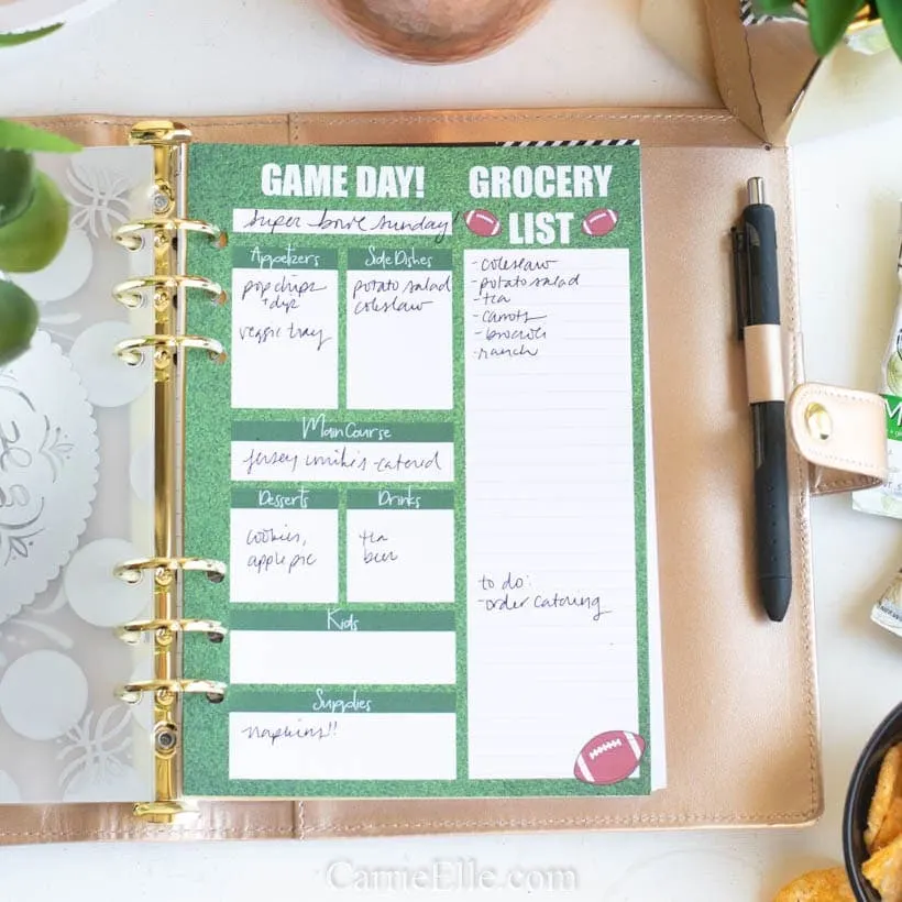 Printable A5 Planner Insert Football Party