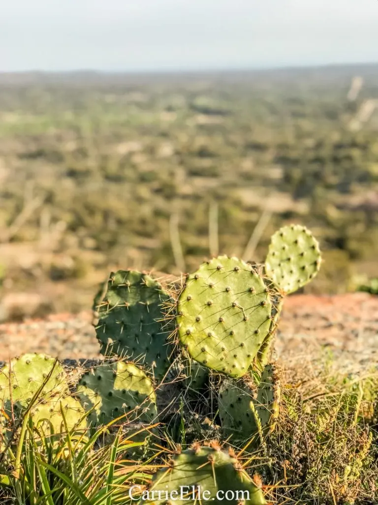 Enchanted Rock
