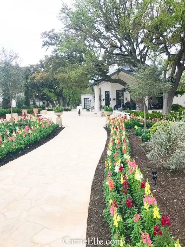 Signor Vineyards Fredericksburg