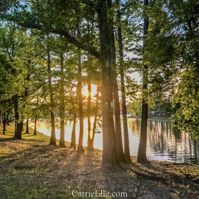 Camping Trip at Daisy State Park and Lake Greeson in Arkansas