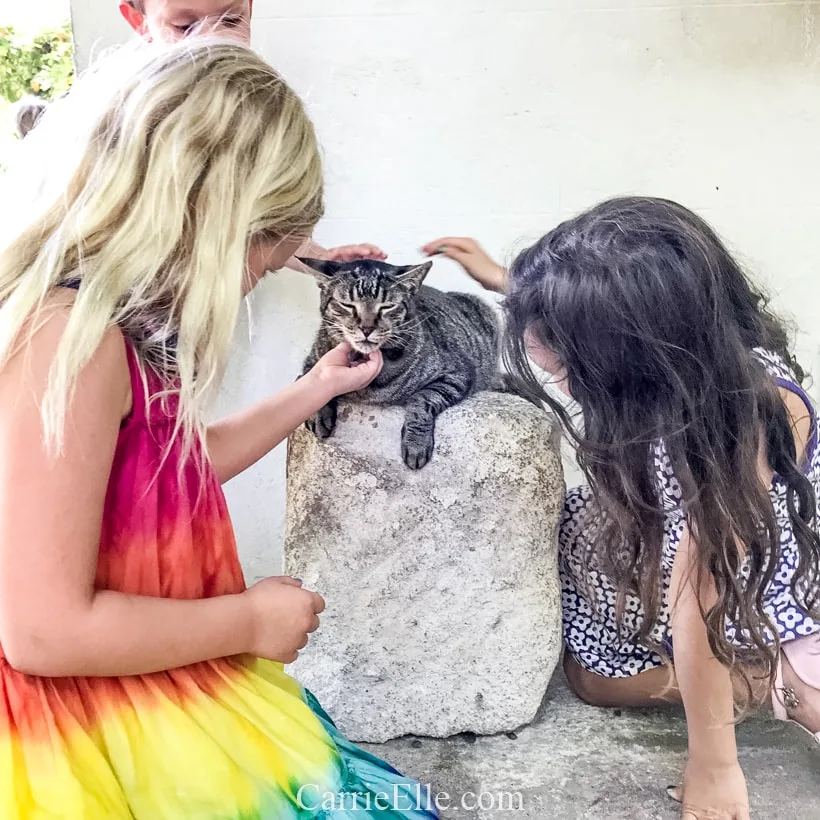 Florida Keys Road Trip with Kids