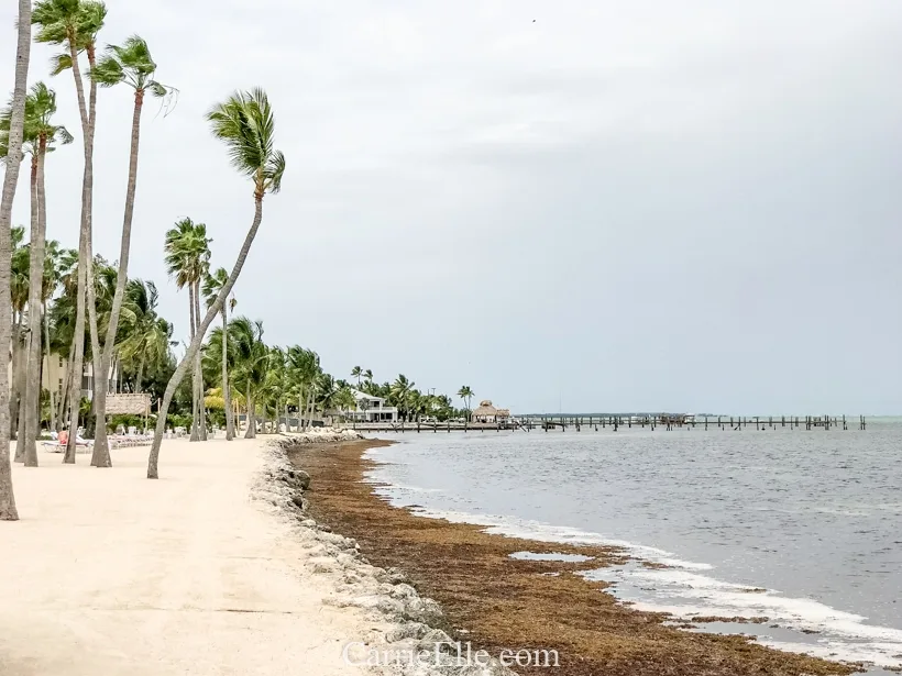 Florida Keys Beach