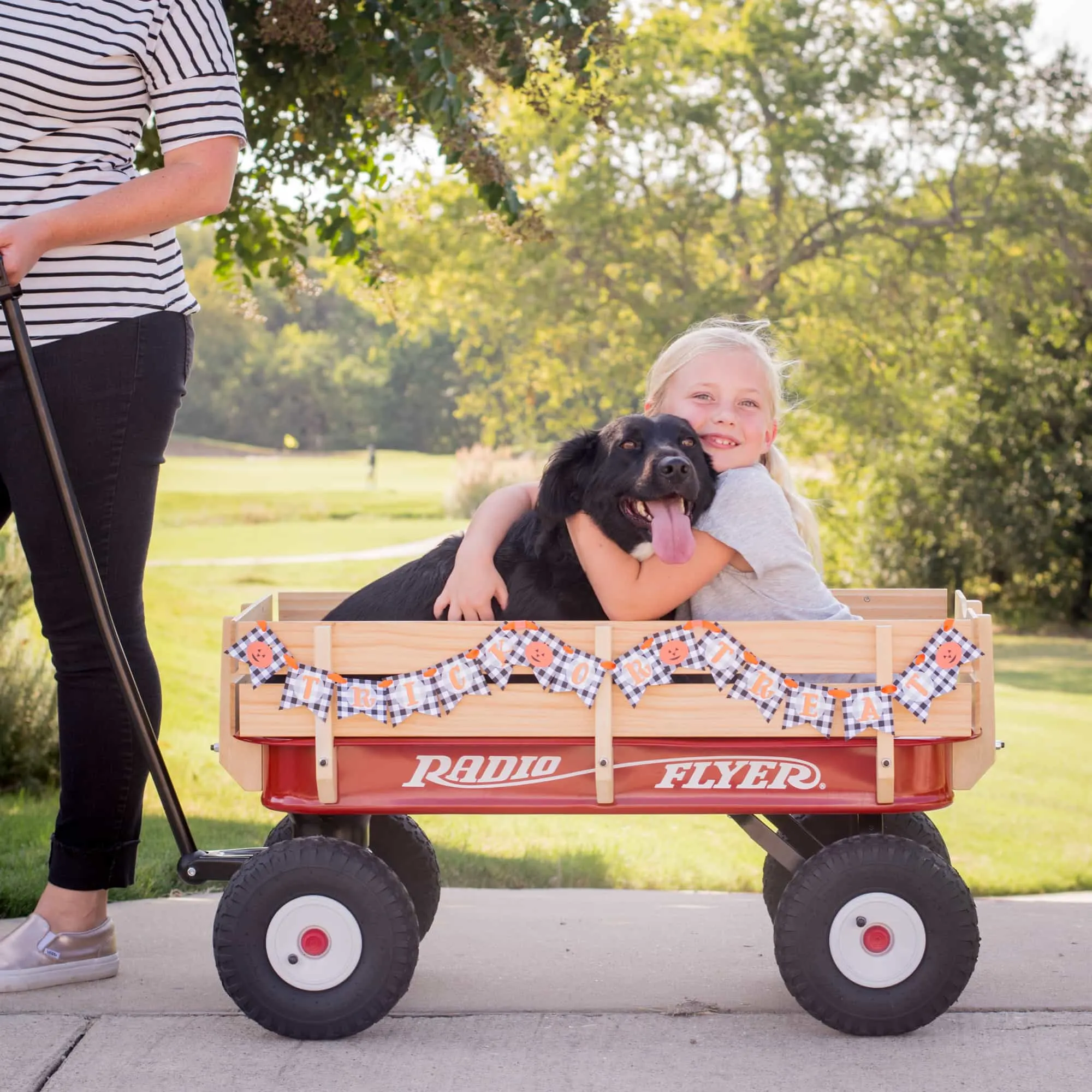 Printable Trick or Treat Banner for Radio Flyer CarrieElle.com