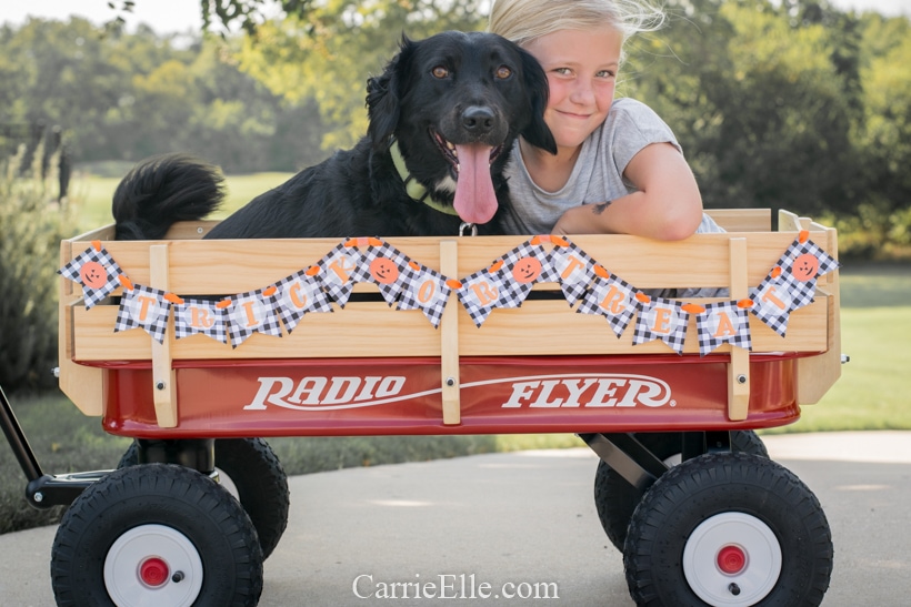 Printable Trick or Treat Banner for Radio Flyer CarrieElle.com