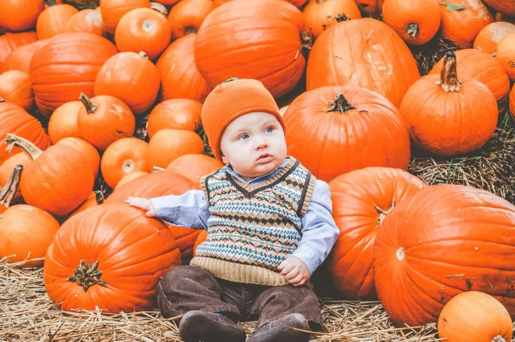Pumpkin Village at the Dallas Arboretum