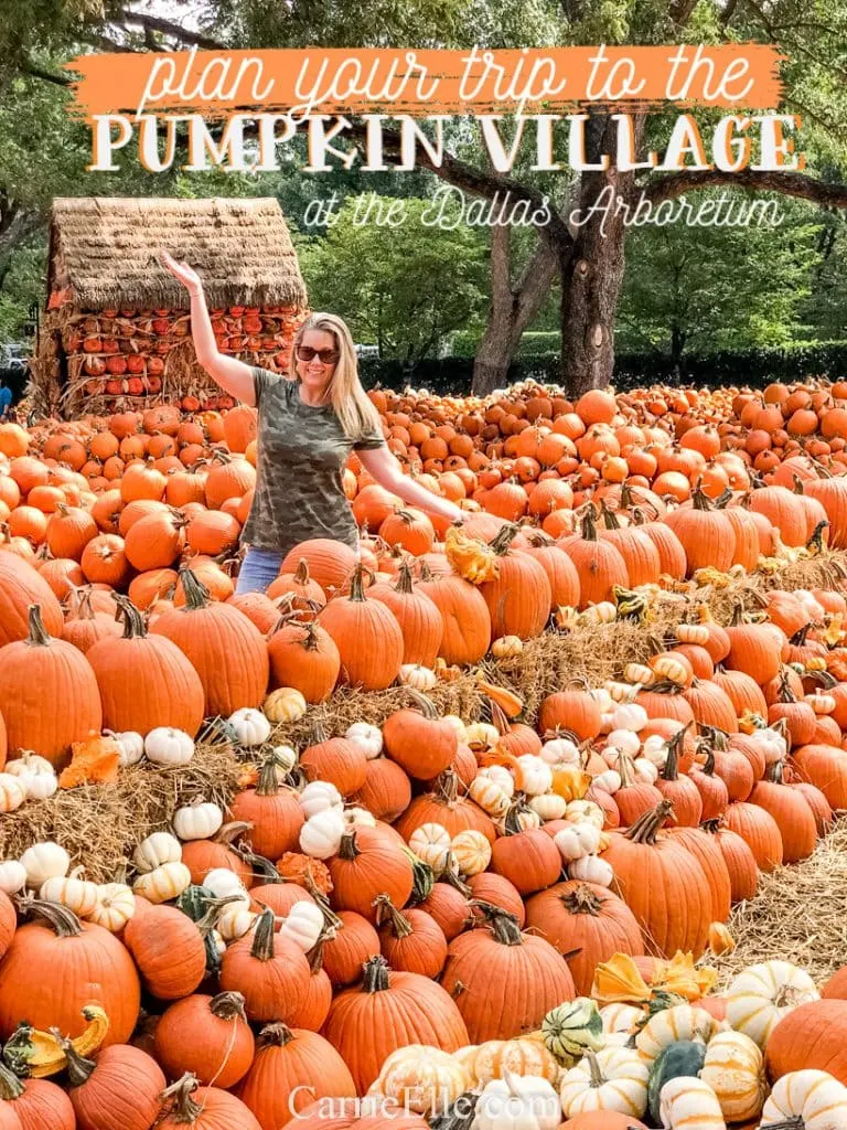 Pumpkin Village at the Dallas Arboretum