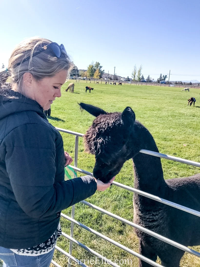 Crescent Moon Alpaca Farm