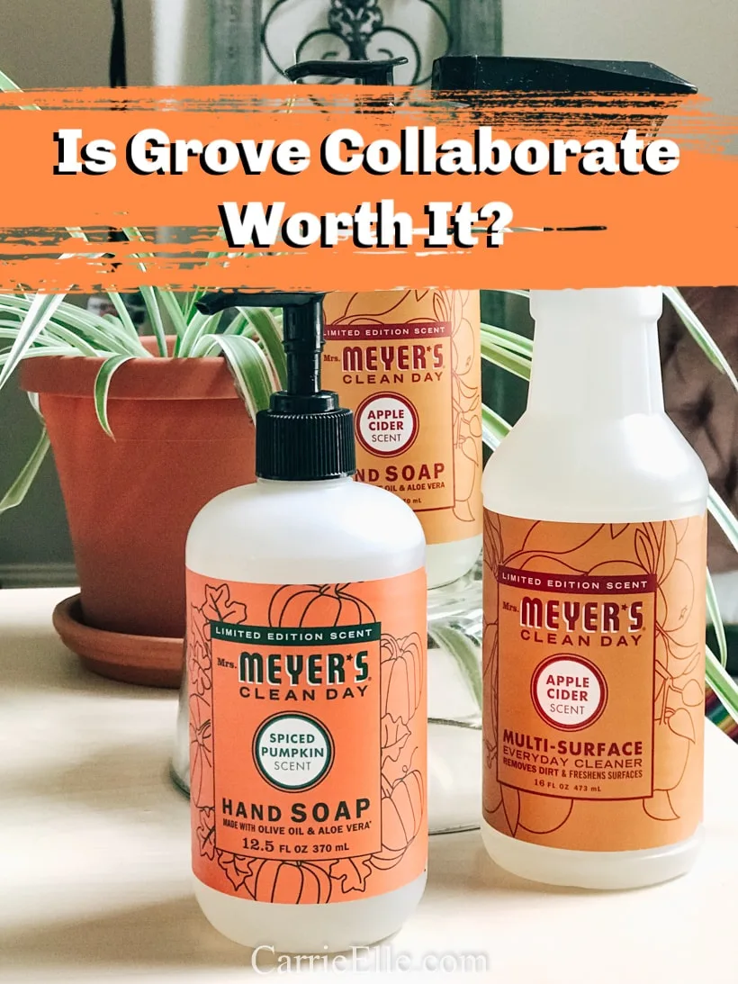 Is Grove Collaborative Worth It?