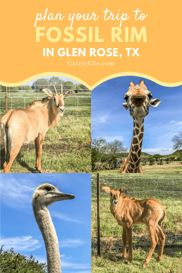 Fossil Rim Glen Rose, TX CarrieElle.com