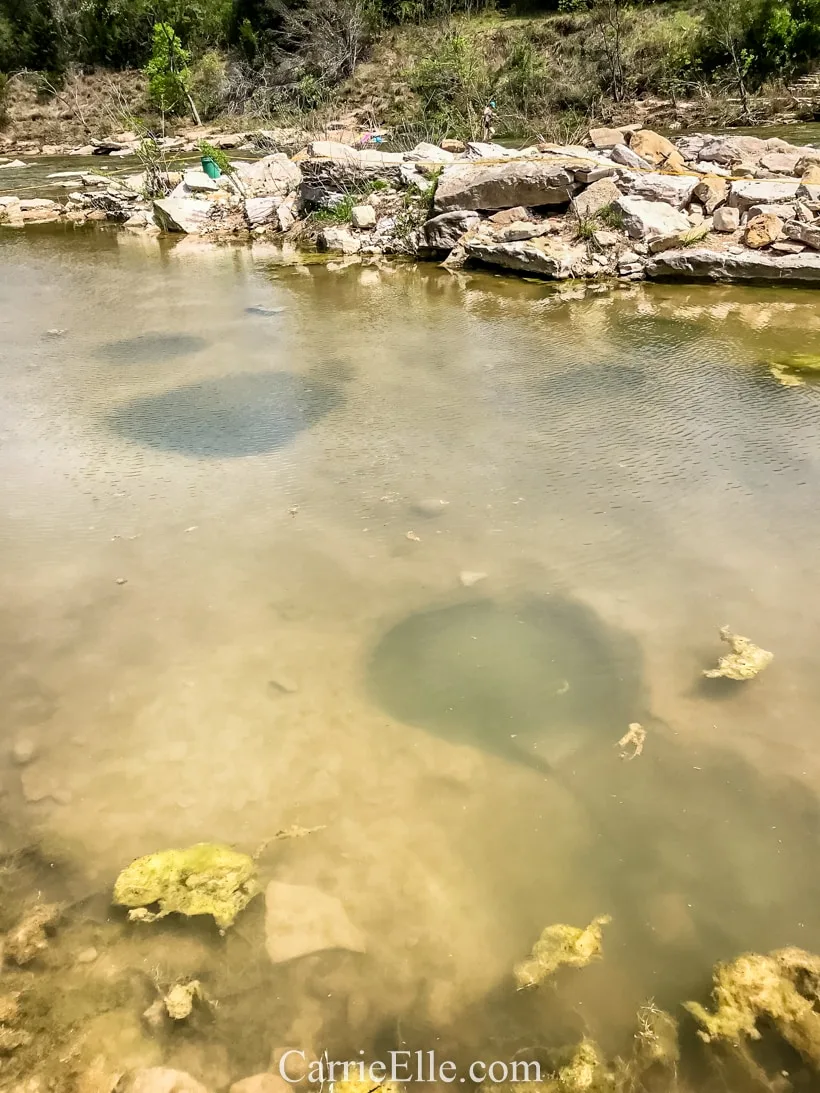 Dinosaur Valley State Park