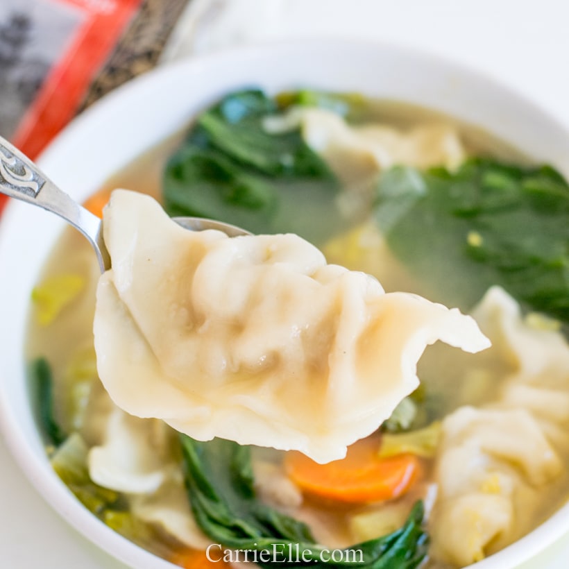 Trader Joe's Instant Pot Potsticker Soup CarrieElle.com