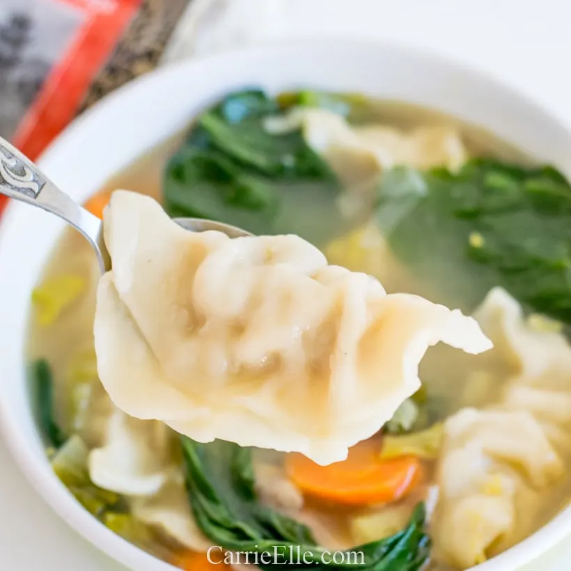Trader Joe's Instant Pot Potsticker Soup CarrieElle.com