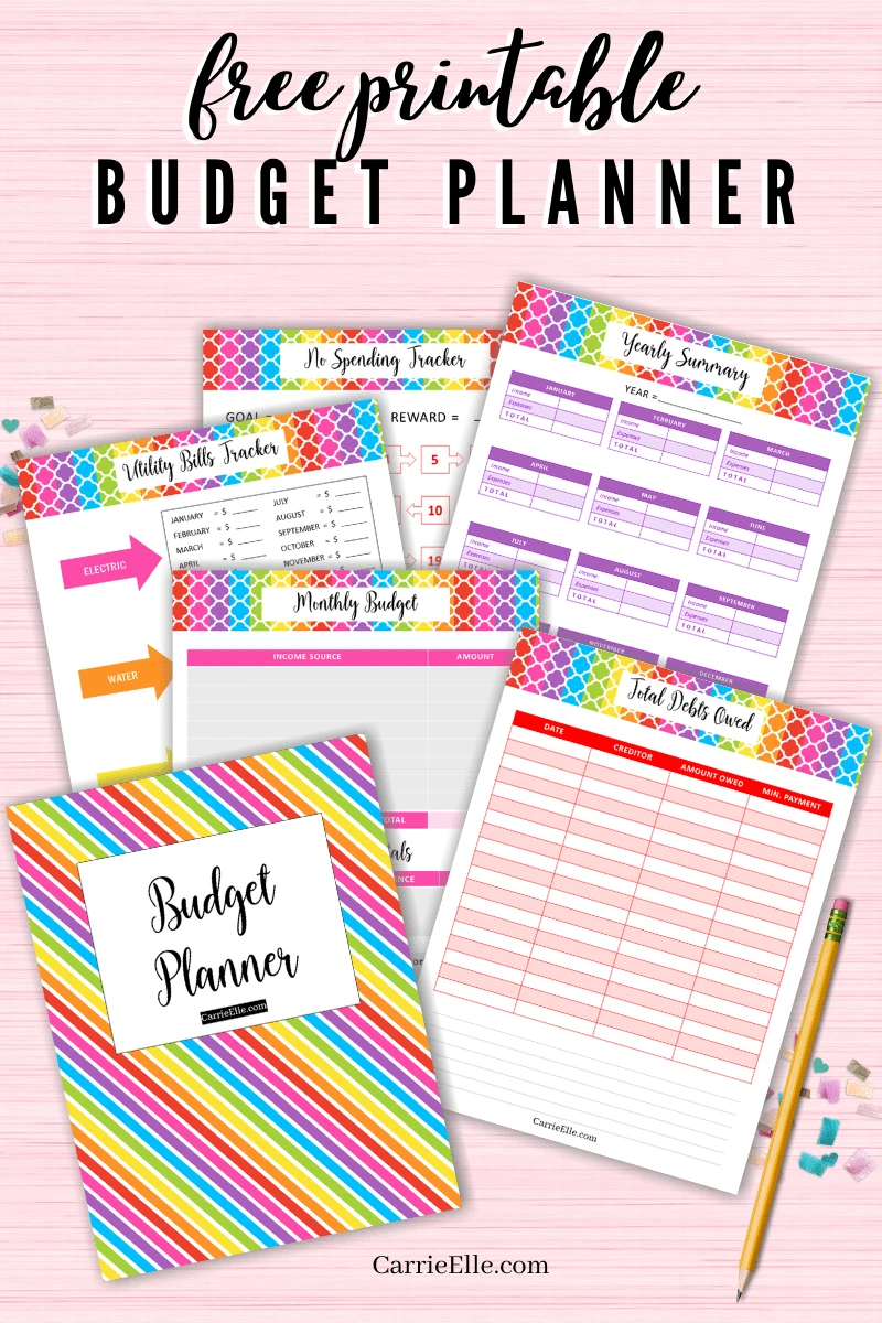 Budget Agenda: Budgeting Planner and Organizer - Create a Monthly Financial  Plan - Track Daily and Monthly Bills and Expenses - 2020 Calendar Edition