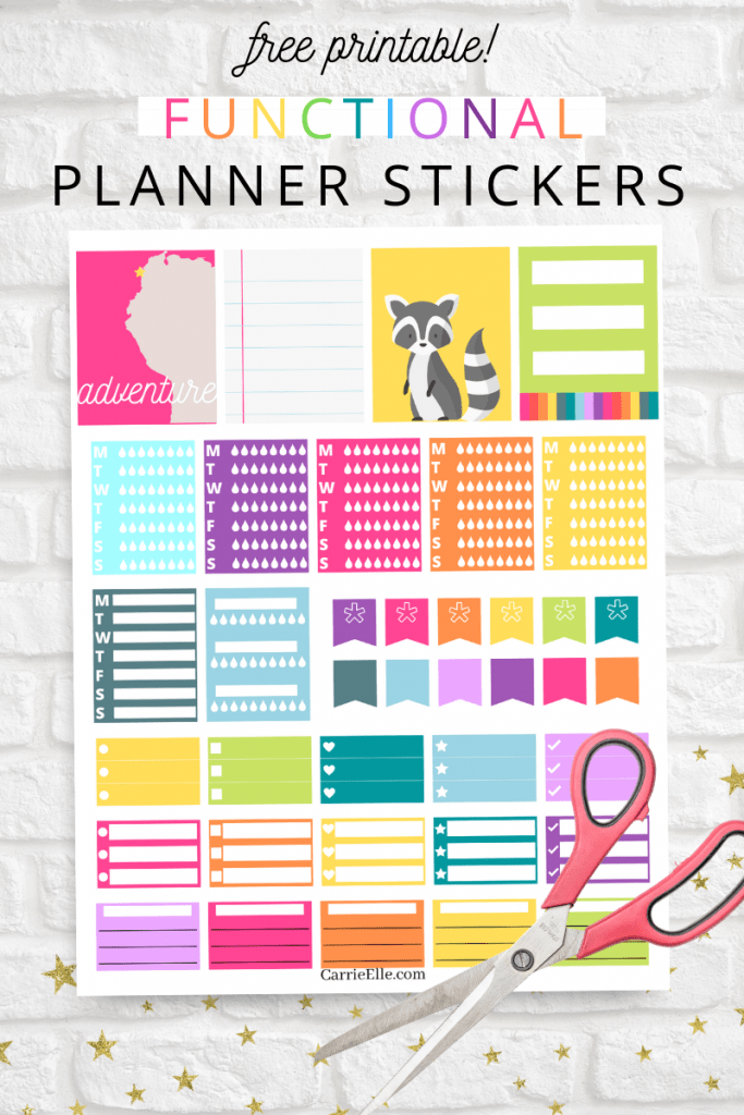 A pin showing the finished printable functional rainbow planner stickers ready to be used with title across the top.