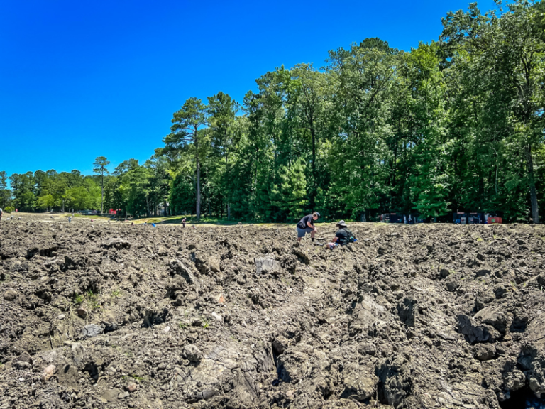 What to Do and Where to Stay in De Queen, Arkansas Carrie Elle