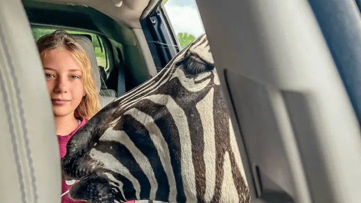 Plan Your Trip to Texas Zoofari in Kaufman