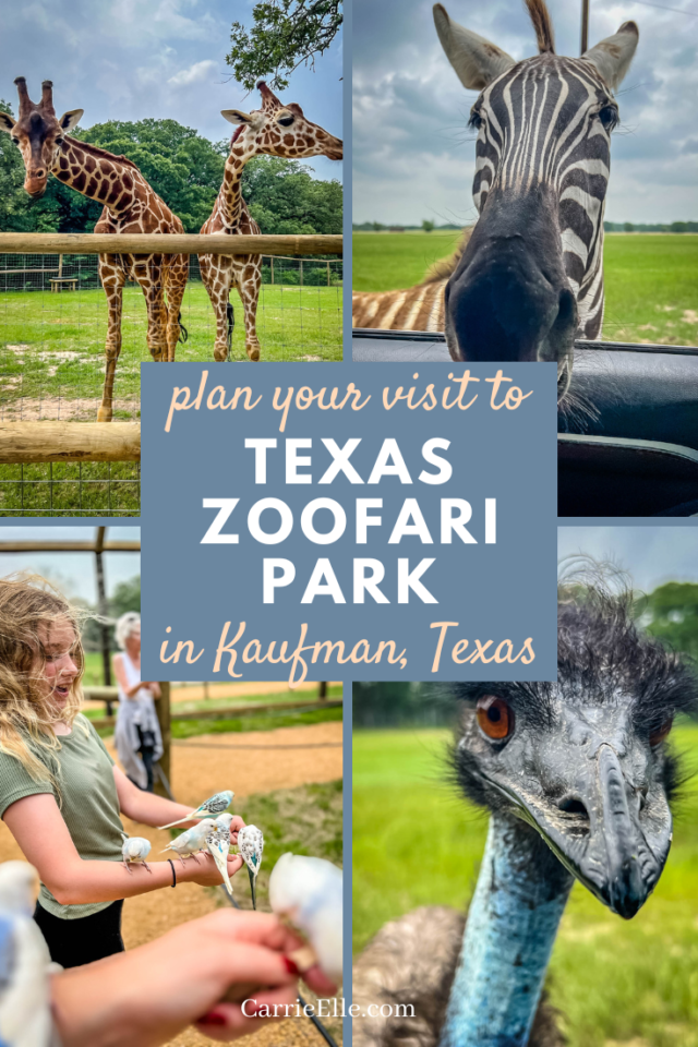 Plan Your Trip to Texas Zoofari in Kaufman Carrie Elle